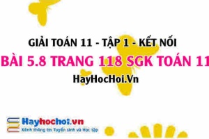 Giải bài 5.8 trang 118 Toán 11 tập 1 SGK Kết nối tri thức